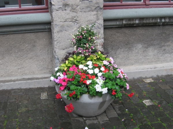 Fotogalerie ZŠ Blatenská