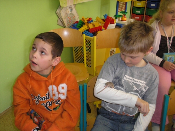 Fotogalerie ZŠ Blatenská