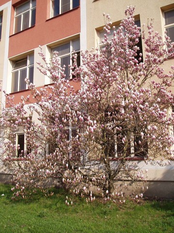Fotogalerie ZŠ Blatenská