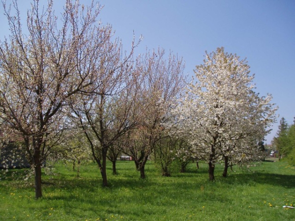 Fotogalerie ZŠ Blatenská