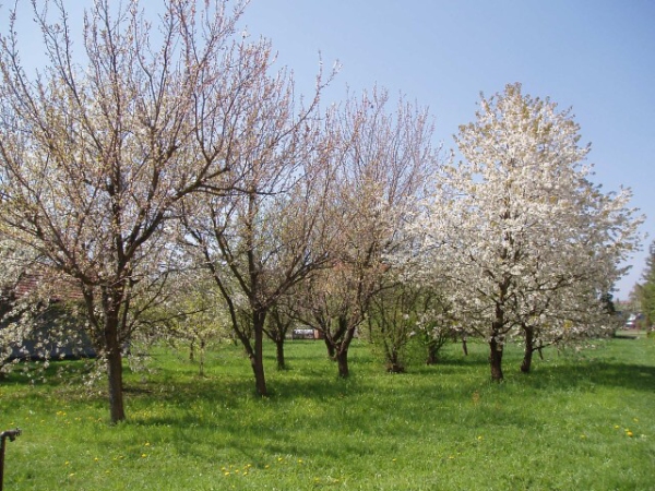 Fotogalerie ZŠ Blatenská