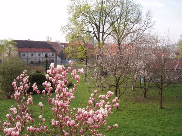 Fotogalerie ZŠ Blatenská