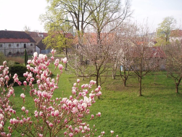Fotogalerie ZŠ Blatenská