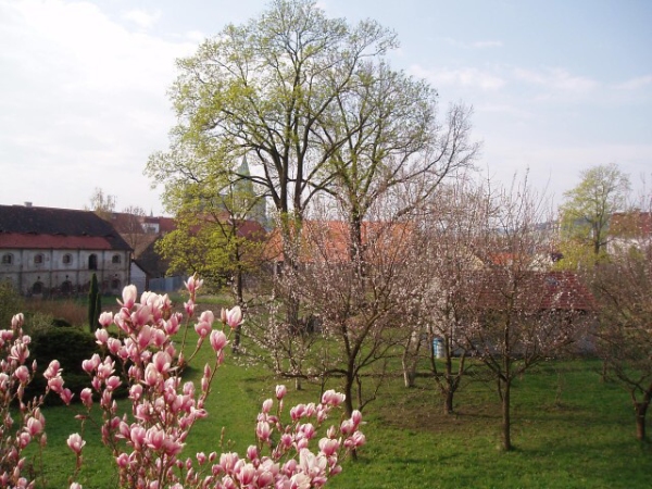 Fotogalerie ZŠ Blatenská