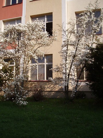 Fotogalerie ZŠ Blatenská