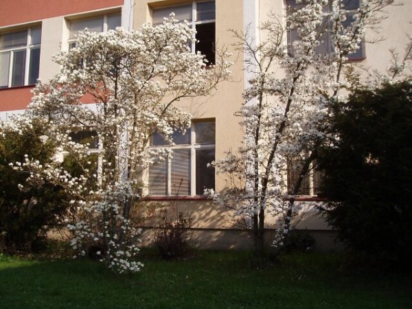 Fotogalerie ZŠ Blatenská