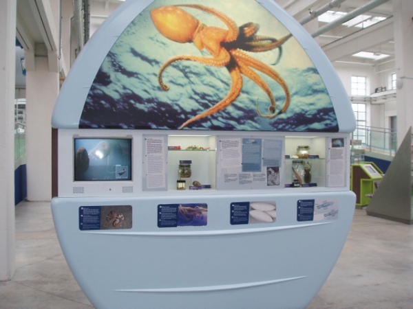 Fotogalerie ZŠ Blatenská