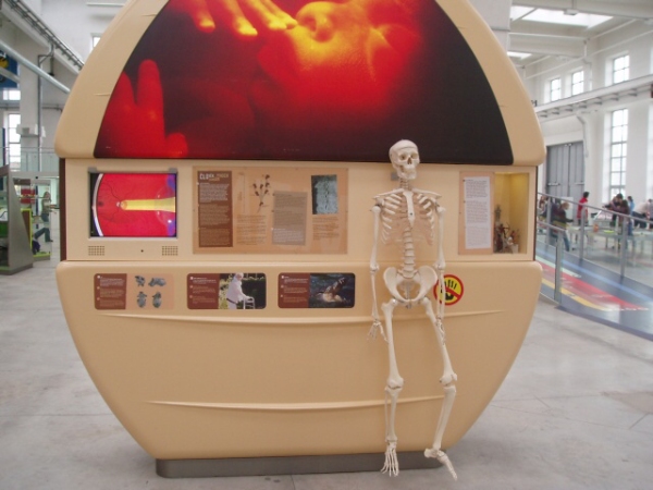 Fotogalerie ZŠ Blatenská