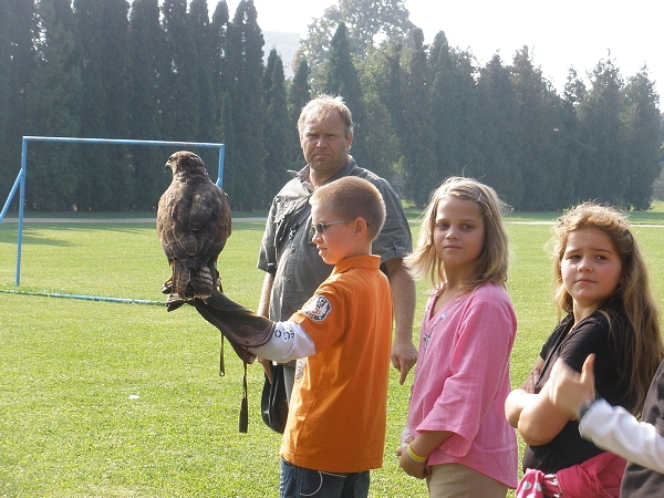 Fotogalerie ZŠ Blatenská