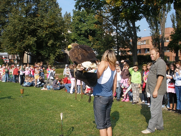 Fotogalerie ZŠ Blatenská