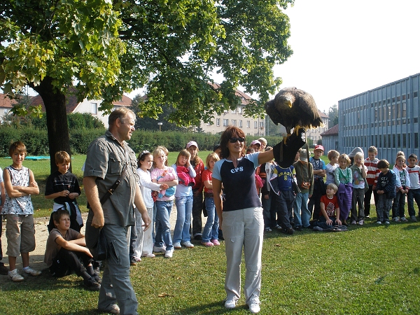 Fotogalerie ZŠ Blatenská
