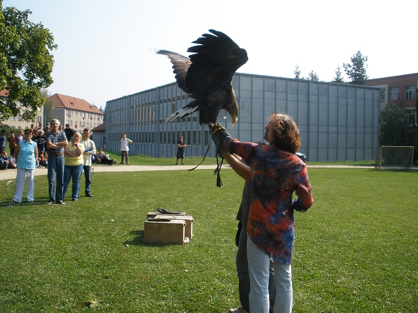 Fotogalerie ZŠ Blatenská