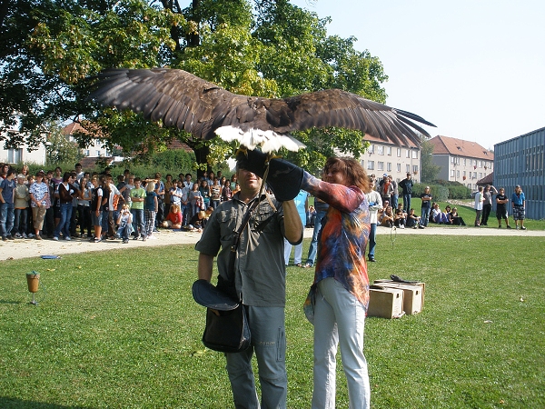 Fotogalerie ZŠ Blatenská