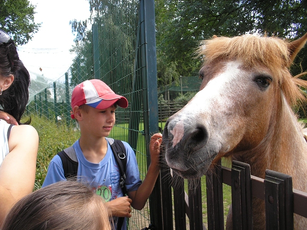 Fotogalerie ZŠ Blatenská