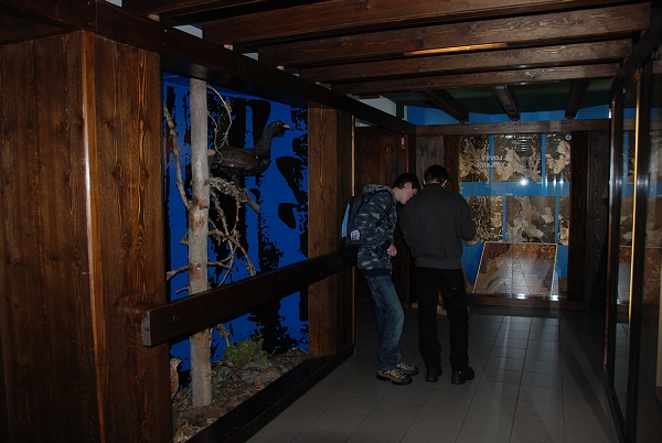 Fotogalerie ZŠ Blatenská