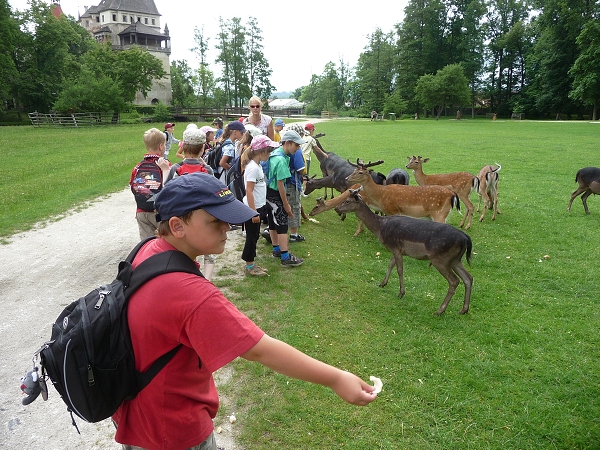 Fotogalerie ZŠ Blatenská