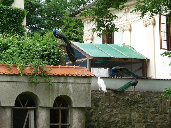 Fotogalerie ZŠ Blatenská