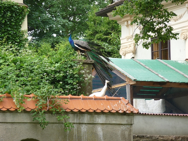 Fotogalerie ZŠ Blatenská