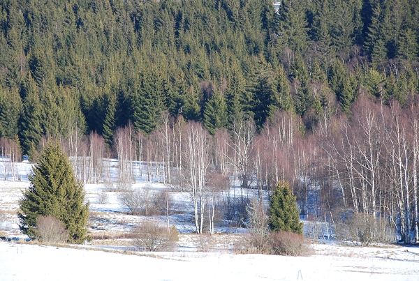 Fotogalerie ZŠ Blatenská