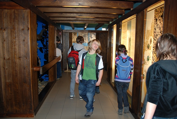 Fotogalerie ZŠ Blatenská