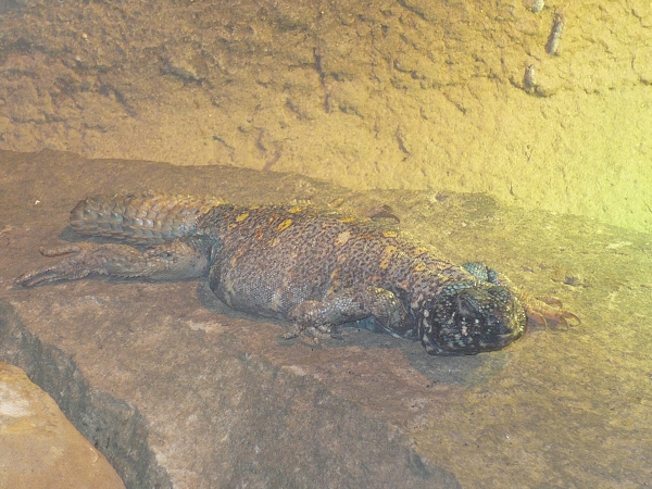 Fotogalerie ZŠ Blatenská