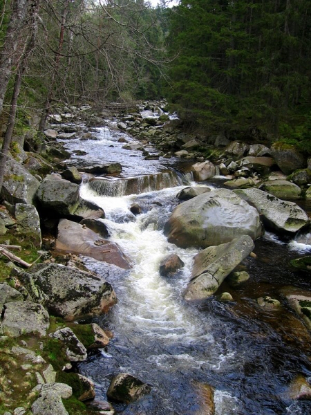 Fotogalerie ZŠ Blatenská