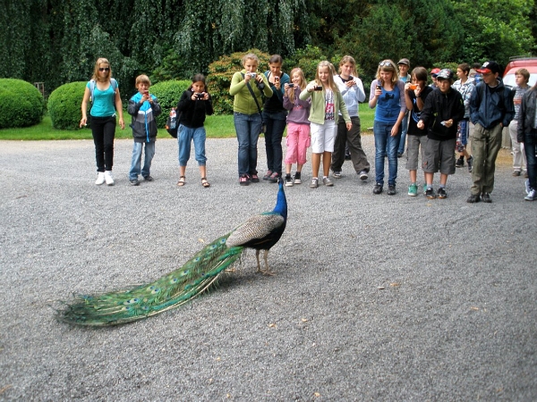 Fotogalerie ZŠ Blatenská