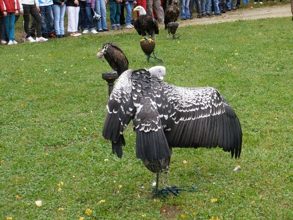 Fotogalerie Z Blatensk