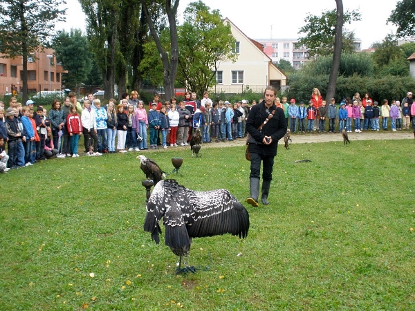 Fotogalerie Z Blatensk