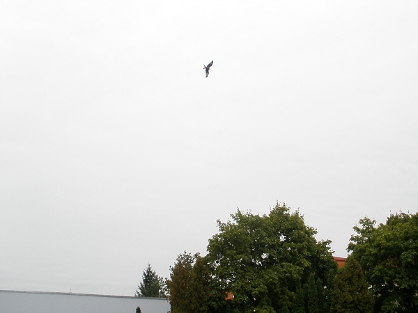Fotogalerie Z Blatensk