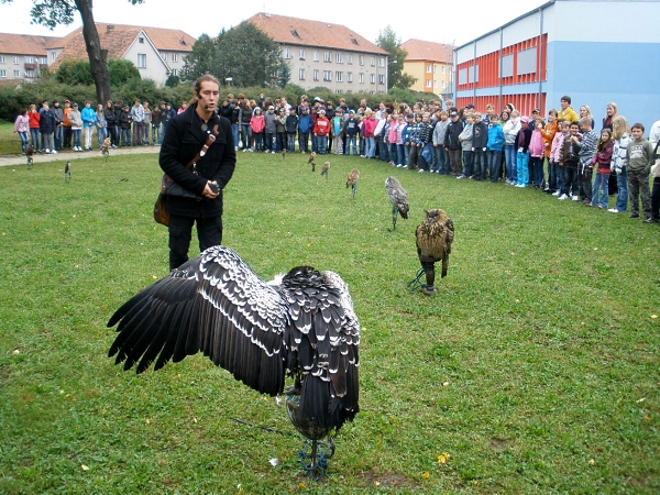Fotogalerie Z Blatensk