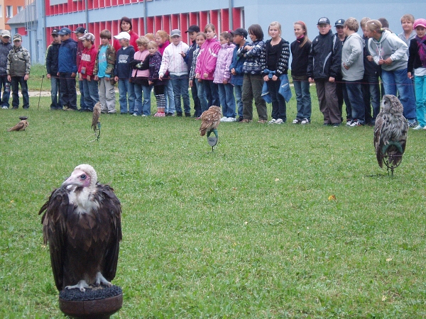 Fotogalerie Z Blatensk