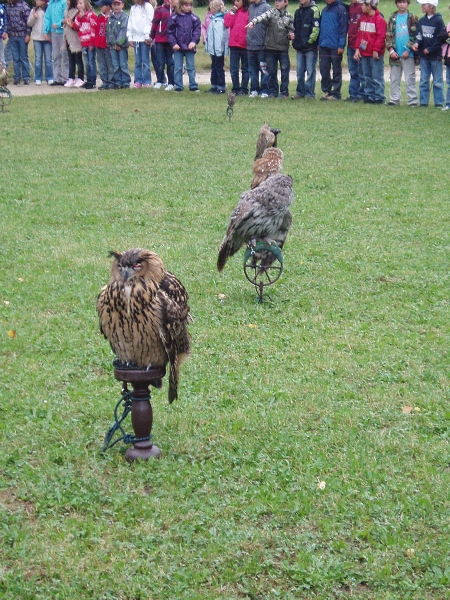 Fotogalerie Z Blatensk