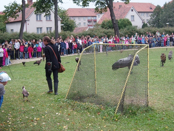 Fotogalerie Z Blatensk