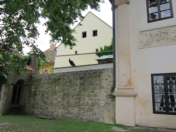 Fotogalerie Z Blatensk