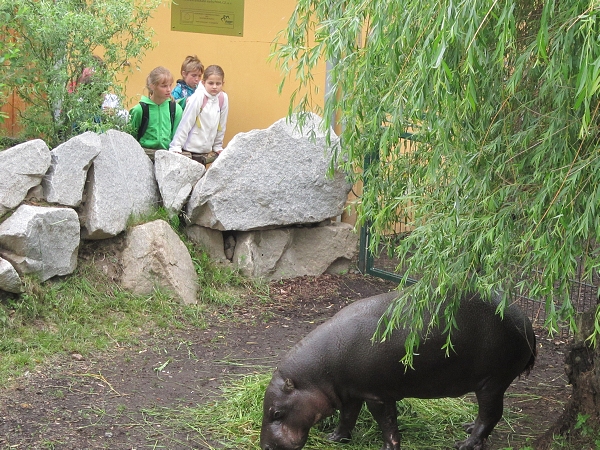 Fotogalerie Z Blatensk