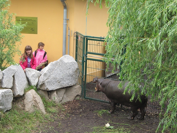 Fotogalerie Z Blatensk