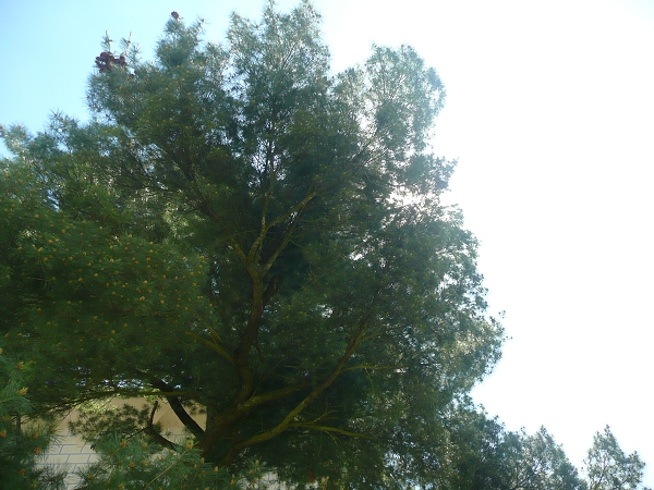 Fotogalerie Z Blatensk