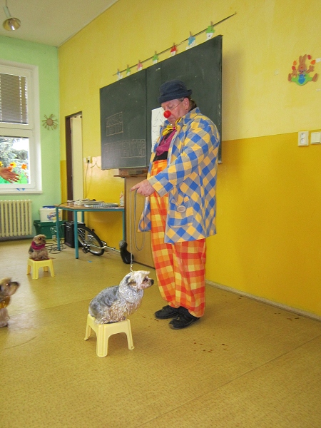 Fotogalerie Z Blatensk