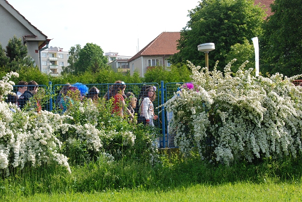 Fotogalerie Z Blatensk