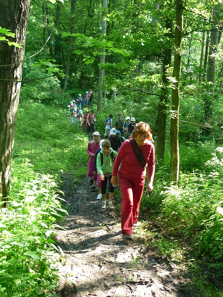 Fotogalerie Z Blatensk