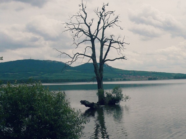 Fotogalerie Z Blatensk