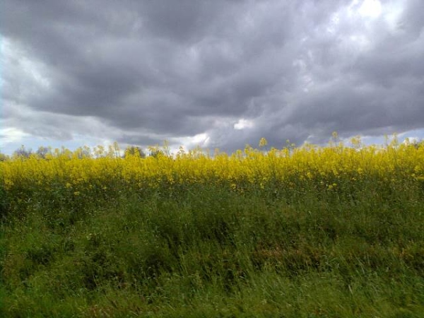 Fotogalerie Z Blatensk