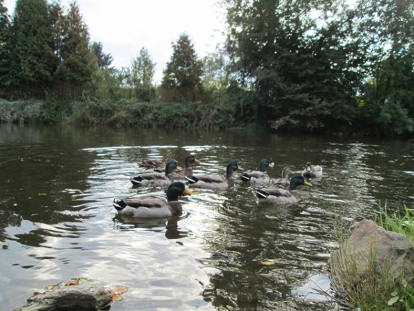 Fotogalerie Z Blatensk