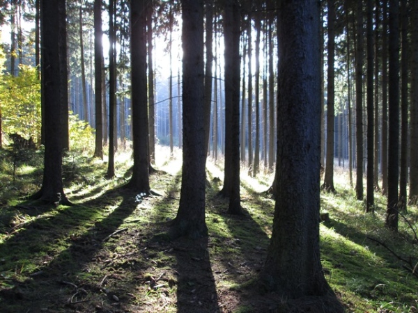 Fotogalerie Z Blatensk