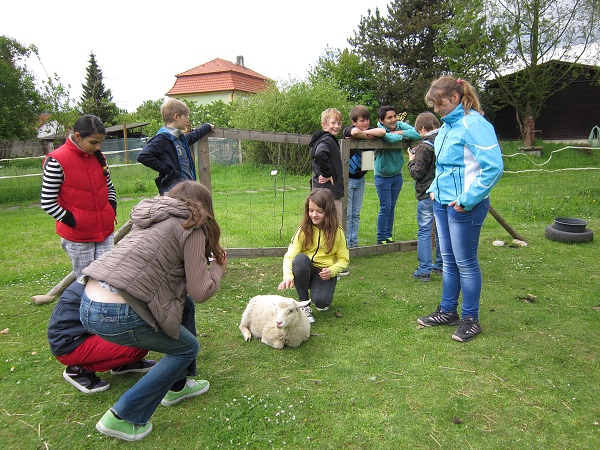 Fotogalerie Z Blatensk