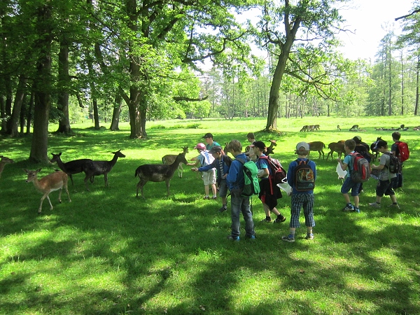 Fotogalerie Z Blatensk