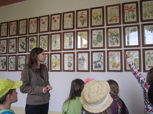 Fotogalerie Z Blatensk