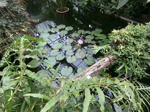 Fotogalerie Z Blatensk