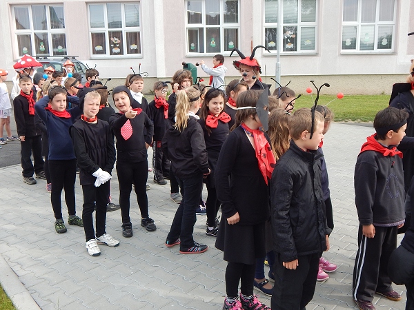 Fotogalerie Z Blatensk